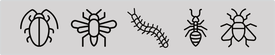 対応可能な害虫の種類