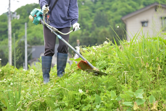 仙台市で草刈りに最適な年3回の時期～楽に草刈りを終えるコツまで徹底解説